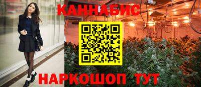 крисы Аргун