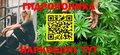 бошки Гусев